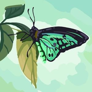 Meet your Posher, Cailey